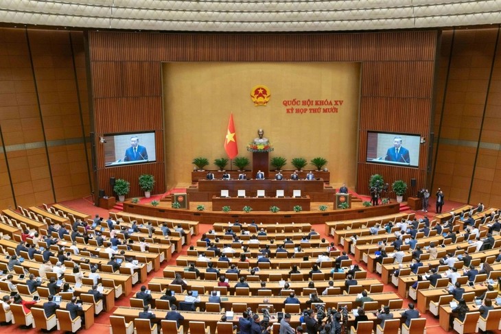 苏林；必须建立让人民拥有实质性发言权和监督权的机制 - ảnh 2