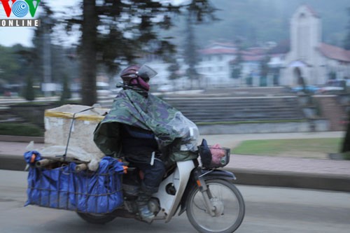 Kehidupan di Sapa - kota embun - ảnh 10