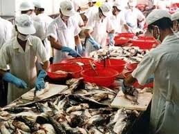 DOC AS mengumumkan keputusan terakhir tentang POR 7 terhadap ikan Patin Vietnam - ảnh 1