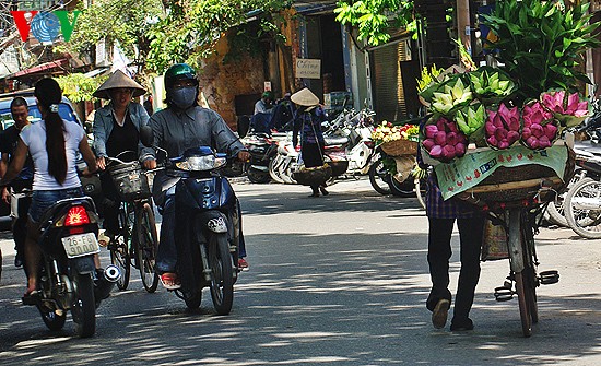 Musim bunga Teratai: saat-saat yang terindah - ảnh 11