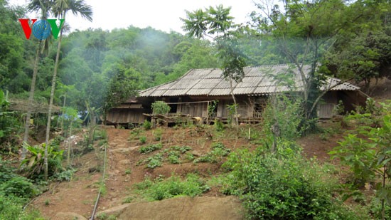 Langit bumi Thung Nai - 