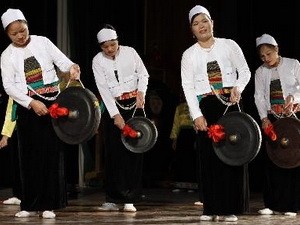 Mengumumkan dan menyosialisasikan aset budaya kerakyatan semua etnis Vietnam - ảnh 1