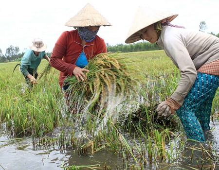 Lokakarya kemampuan komunikasi tentang perubahan iklim - ảnh 1