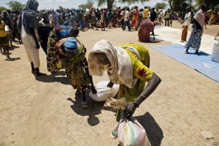 Sudan Selatan satu tahun setelah hari kemerdekaan - ảnh 5