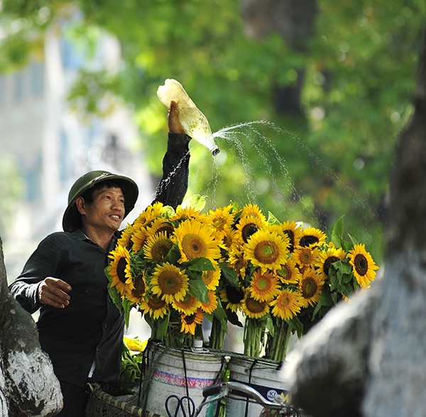 Keindahan musim Rontok di kota Hanoi - ảnh 6