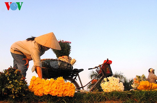 Pasar bunga Quang An yang ramai - ảnh 5