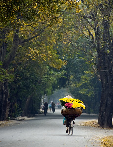 Keindahan musim Rontok di kota Hanoi - ảnh 2