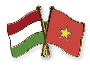 Vietnam dan Hungaria memperkuat kerjasama di bidang ekonomi - ảnh 1