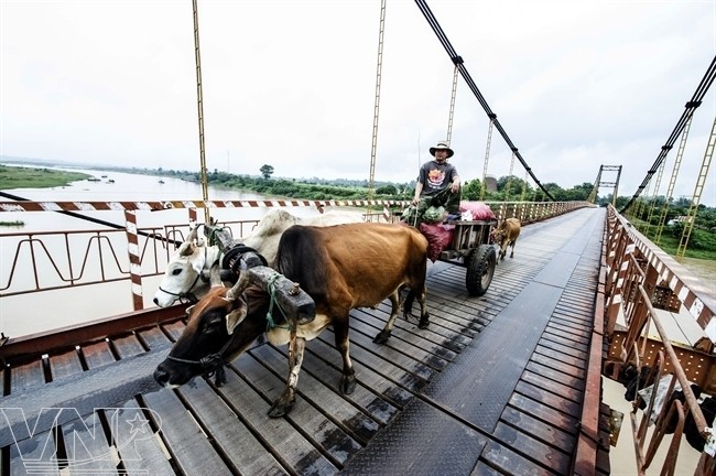 Keindahan budaya dan manusia daeray Tay Nguyen - ảnh 1