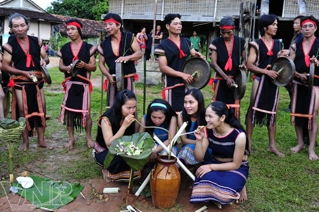 Keindahan budaya dan manusia daeray Tay Nguyen - ảnh 8