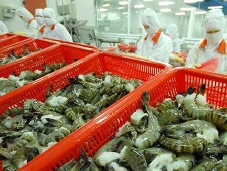 AS menetapkan untuk sementara bahwa udang eks Vietnam tidak melakukan dumping - ảnh 1