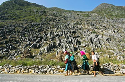 Pekan raya provinsi-provinsi di daerah pegunungan Vietnam Utara diadakan di provinsi Ha Giang - ảnh 1