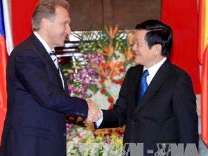 Presiden Vietnam, Truong Tan Sang menerima Deputi PM Federasi Rusia - ảnh 1