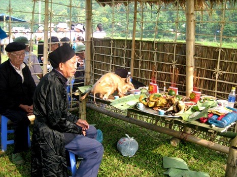 Upacara  adat menyambut datangnya nasi baru dari etnis minoritas Thai - ảnh 2