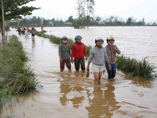 Perdana Menteri memberikan bimbingan untuk mengatasi akibat hujan dan banjir di daerah Vietnam Tengah dan daerah Tay Nguyen - ảnh 1