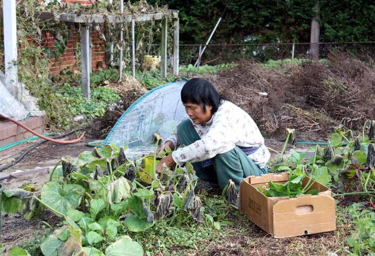 Cerita tentang pak bule penjual kangkung dan ibu pasar taman sayur - ảnh 1