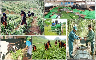 Vietnam tetap mengutamakan anggaran keuangan untuk bidang jaring pengaman sosial dan pengentasan dari kemiskinan - ảnh 1