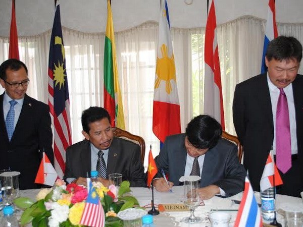 Duta Besar Vietnam memegang jabatan Ketua Komite ASEAN di Afrika Selatan - ảnh 1