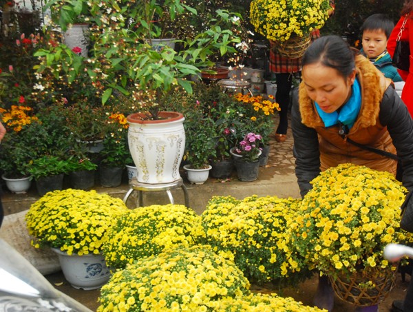 Bergeloranya pasar bunga di kota Lao Cai - ảnh 1