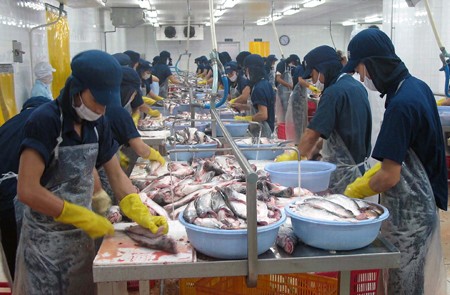 Kongres Amerika Serikat mengesahkan RUU yang menyulitkan produk ikan tak bersisik eks Vietnam - ảnh 1