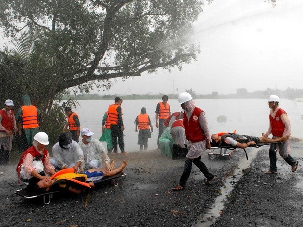 Kerjasama memberikan pertolongan dalam bencana alam dalam kerangka konferensi ARF - ảnh 1