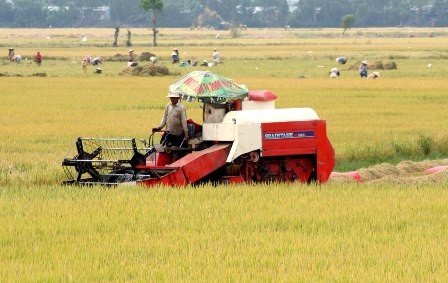 Berfokus merestrukturisasi bidang ilmu pengetahuan dan teknologi pada 2015 - ảnh 1