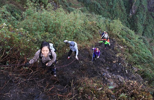 Perkenalan akan usaha mendaki gunung Fanxipan di Vietnam - ảnh 1