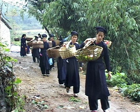 Adat meminta mas kawin dari orang etnis minoritas Tay - ảnh 1