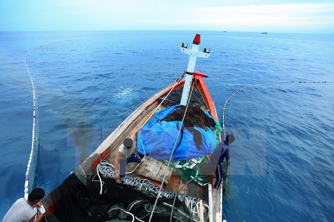 Mengumumkan dan menggelarkan Strategi pengelolaan terpadu terhadap zona pantai terintegrasi Vietnam sampai dengan tahun 2020 - ảnh 1