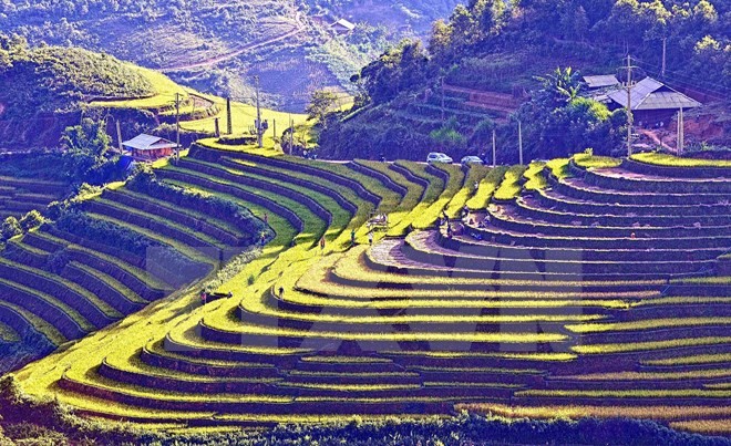 Pekan kebudayaan dan lanskap nasional sawah terasering Mu Cang Chai yang khas - ảnh 1