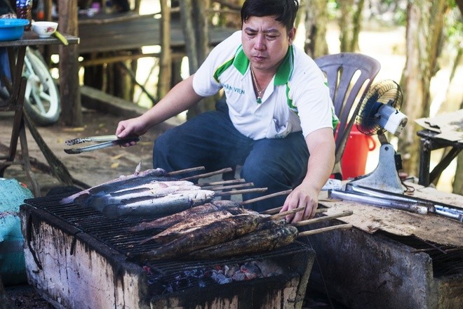 Keindahan yang primitif di hutan kayu putih Tra Su pada musim pasang air - ảnh 8