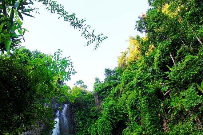 Sumur langit - tempat wisata yang primitif - ảnh 9