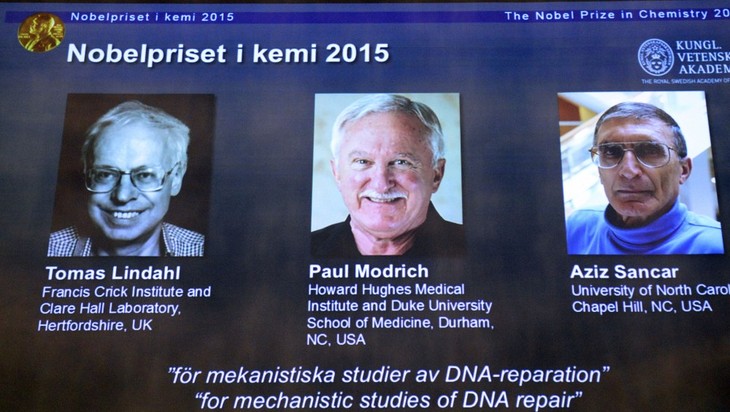 Swedia menyelenggarakan upacara penyampaian Penghargaan Nobel Perdamaian 2015 - ảnh 1