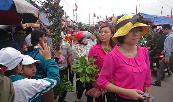 Pasar Vieng memohon berkah kemujuran - ảnh 6