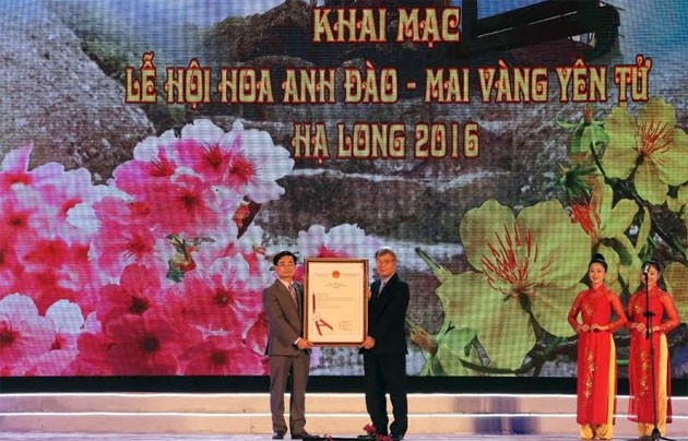 Pembukaan Festival Bunga Sakura dan Meihoa Kuning Yen Tu, Ha Long 2016 - ảnh 1