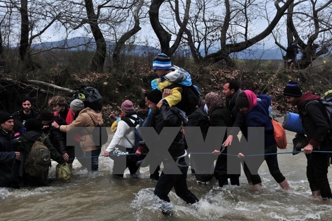 Yunani menunda pengembalian kaum migran ke Turki sesuai dengan permufakatan dengan Uni Eropa - ảnh 1