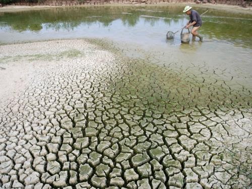 PBB mengadakan acara peringatan Hari Air Dunia dan Hari Hutan Internasional - ảnh 1