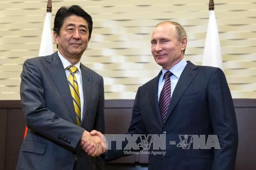 Presiden Rusia, Vladimir Putin akan berkunjung ke Jepang pada Desember mendatang - ảnh 1