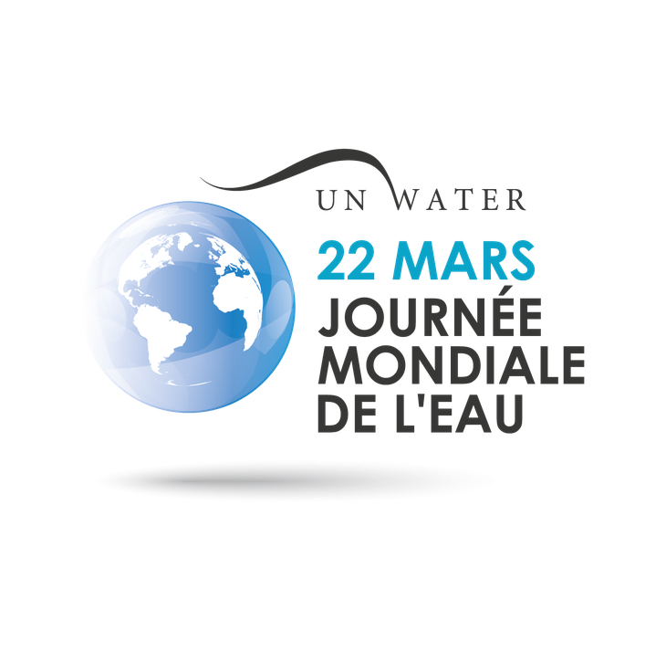 Célébrations des Journées internationales de l’eau et de la météorologie - ảnh 1