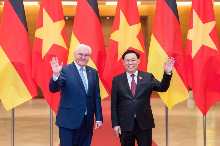 Frank-Walter Steinmeier rencontre Vuong Dinh Huê  - ảnh 1