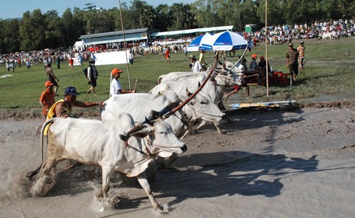 Das Festival der Khmer in Vietnam ist zu Ende gegangen - ảnh 1