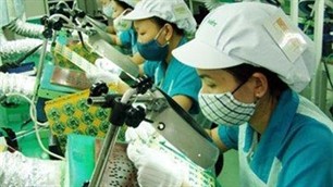 Die Provinzen werben um Investoren - ảnh 1