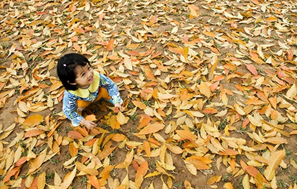 Verführerischer Herbst in Hanoi - ảnh 11