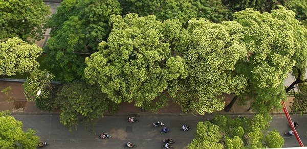 Verführerischer Herbst in Hanoi - ảnh 7