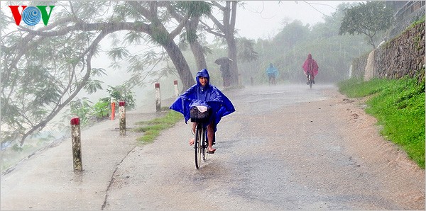 Regen in der Stadt Hue - ảnh 11