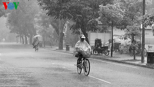 Regen in der Stadt Hue - ảnh 12