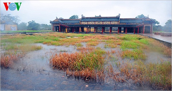 Regen in der Stadt Hue - ảnh 2