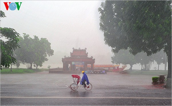 Regen in der Stadt Hue - ảnh 7