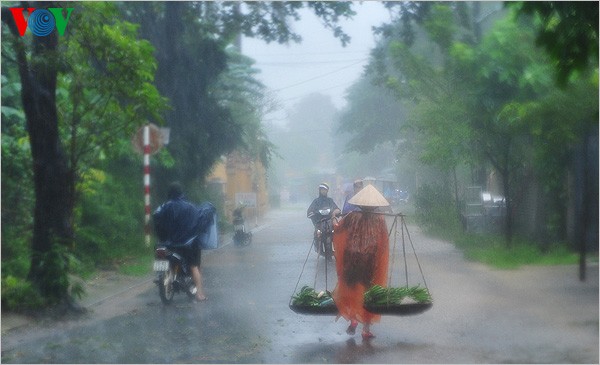 Regen in der Stadt Hue - ảnh 8