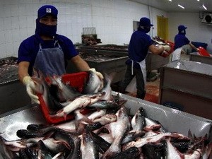 Can Tho genehmigt Investitionsprojekte mit Wert von zehn Millionen US-Dollar - ảnh 1